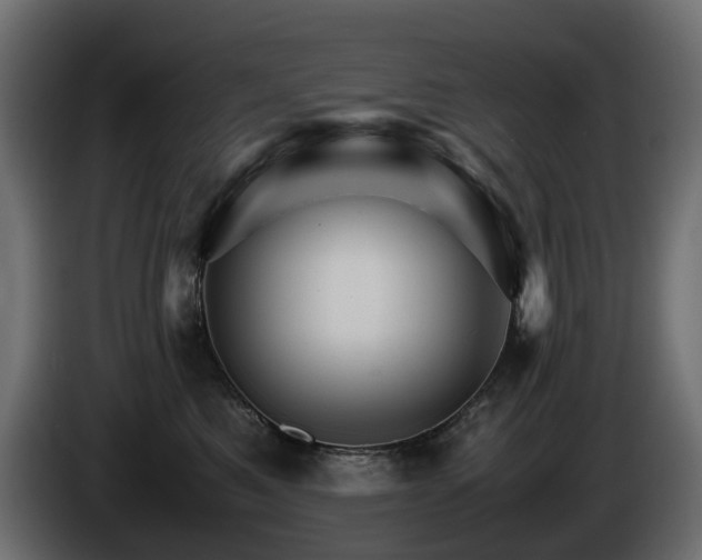 X0000085840521200703231445