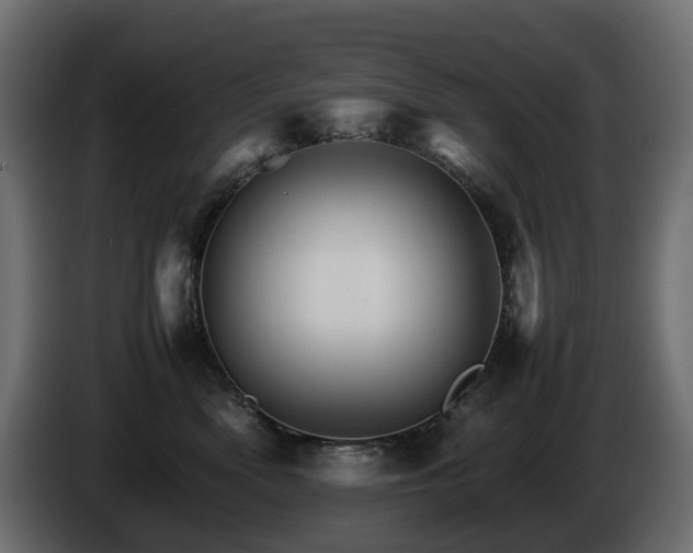 X0000085840522200703231445