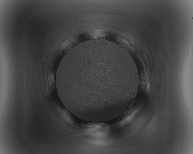 X0000085840523200703231445