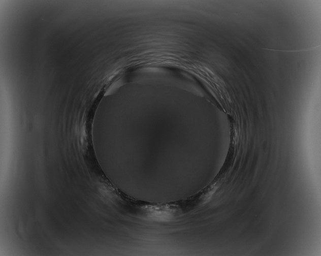 X0000085840524200703231445