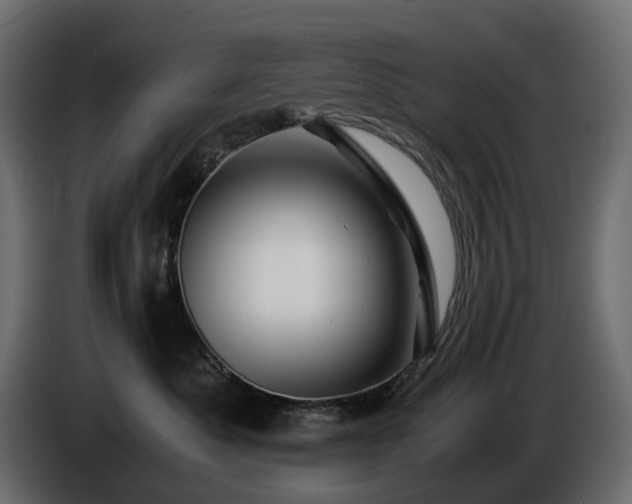 X0000085840525200703231445