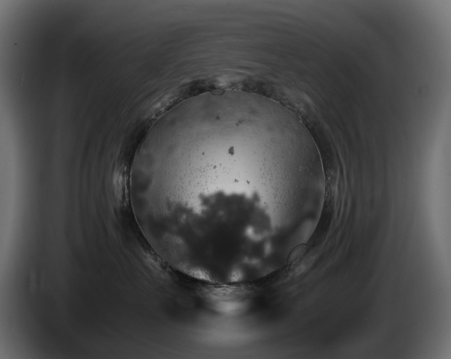 X0000085840527200703231445