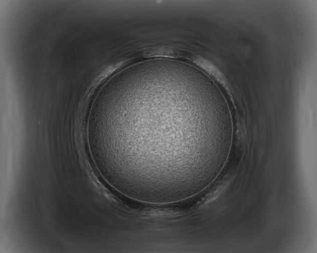 X0000085840529200703231444