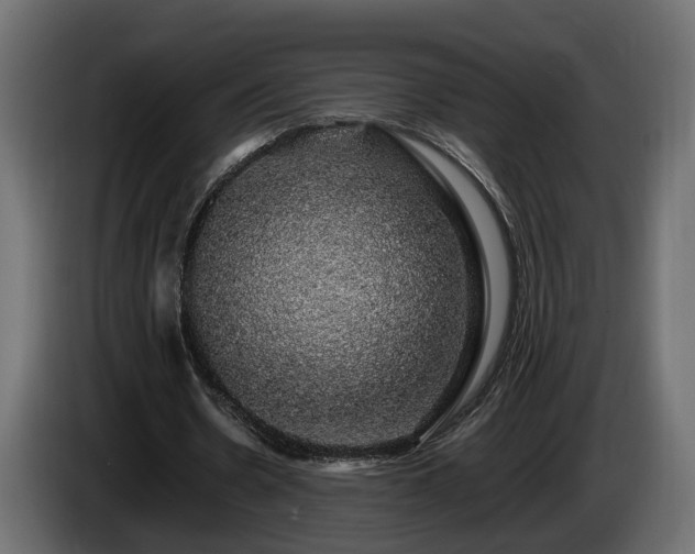 X0000085840530200703231444