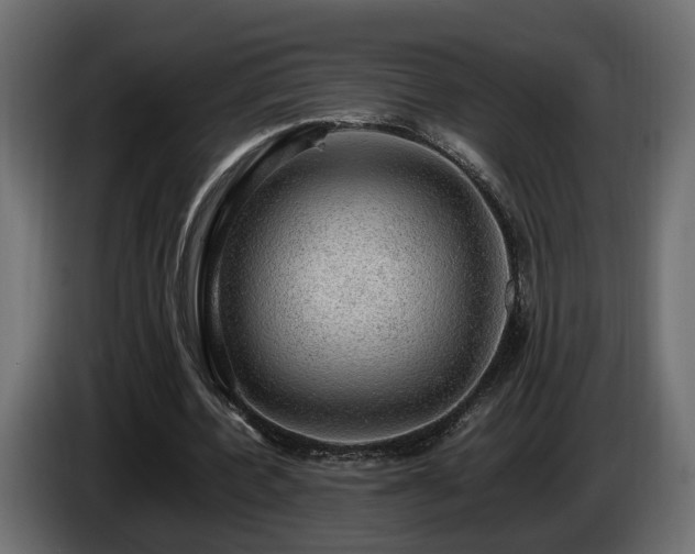 X0000085840532200703231444