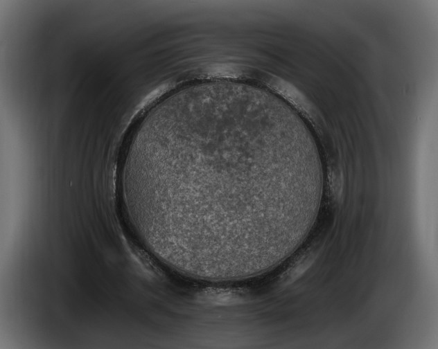 X0000085840534200703231445