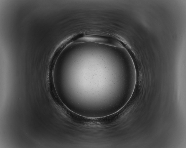 X0000085840535200703231445