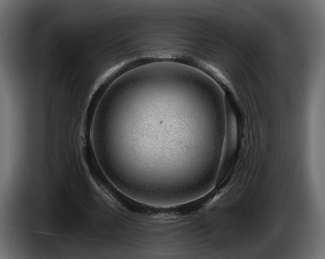 X0000085840536200703231445