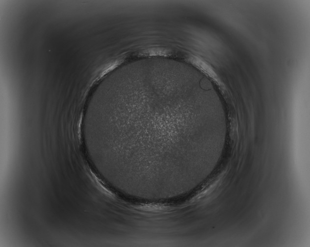 X0000085840537200703231445