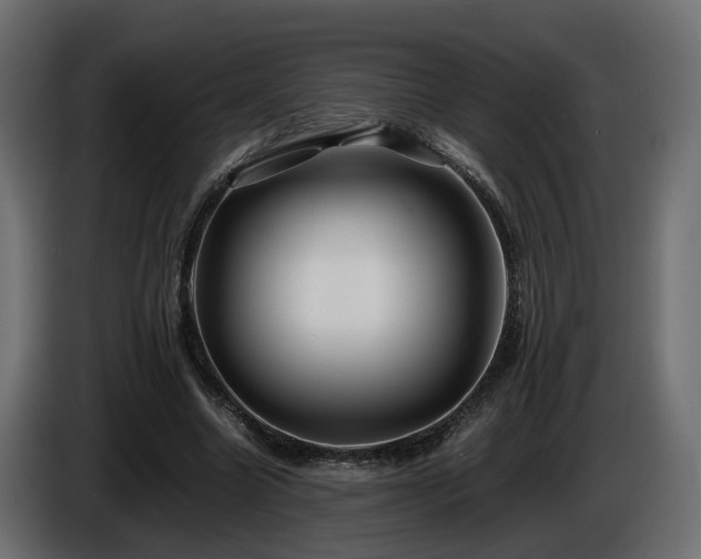 X0000085840538200703231445