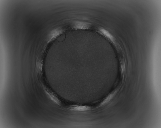 X0000085840539200703231445