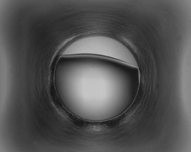 X0000085840540200703231445