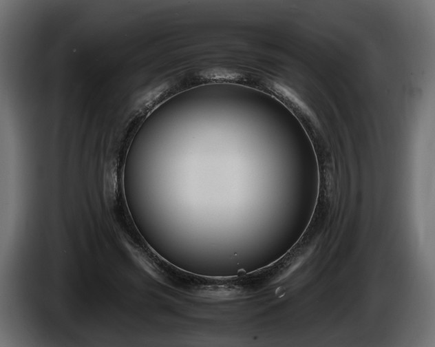 X0000085840541200703231445