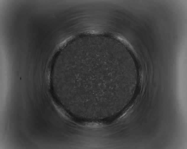 X0000085840542200703231445