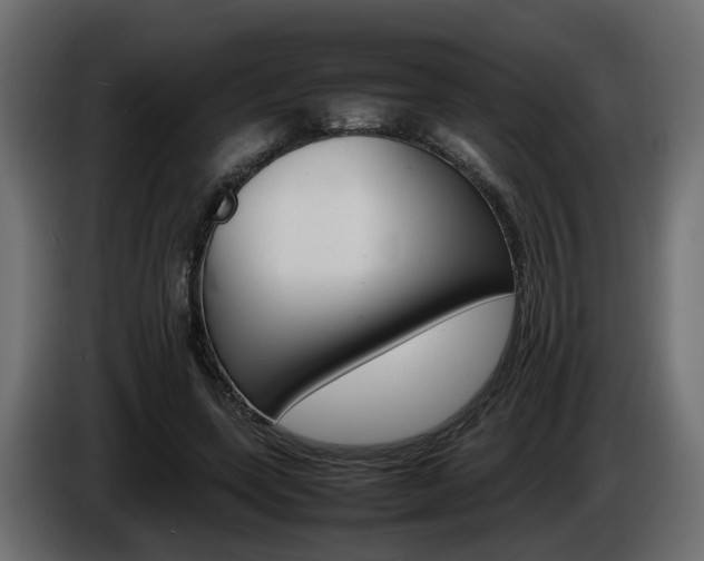 X0000085840543200703231445