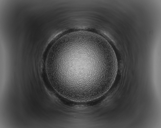 X0000085840544200703231445