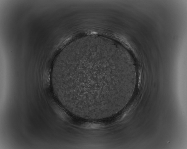 X0000085840545200703231445