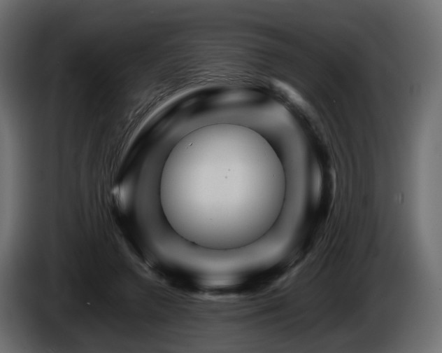 X0000085840546200703231445