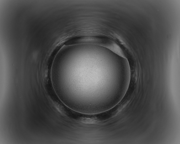 X0000085840548200703231445