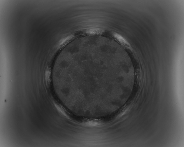 X0000085840550200703231445