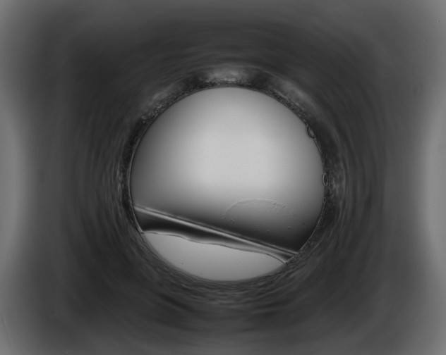 X0000085840551200703231445
