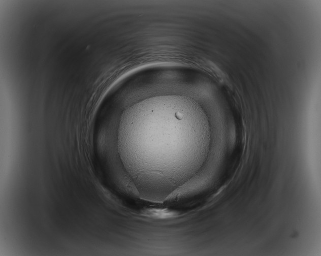X0000085840552200703231445