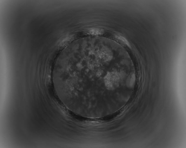 X0000085840553200703231445