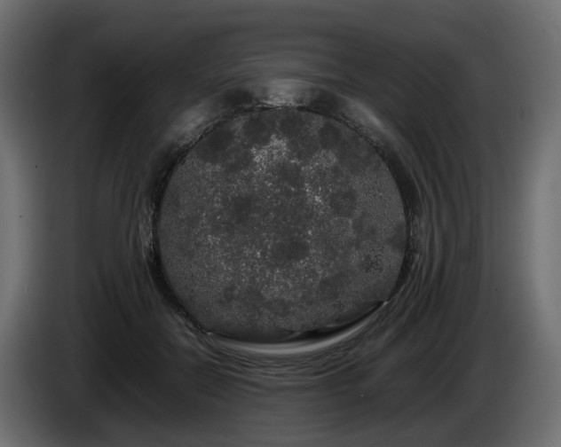 X0000085840554200703231445