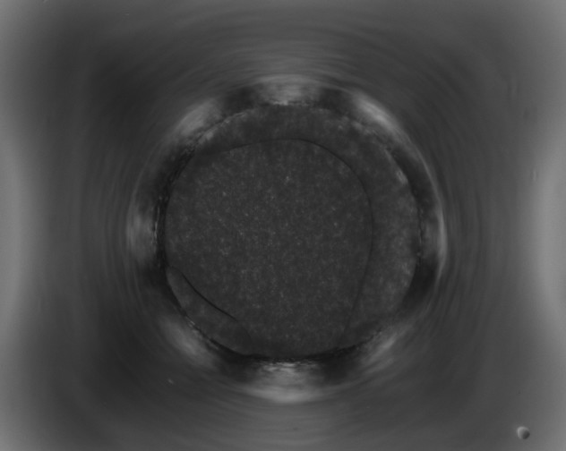 X0000085840558200703231445