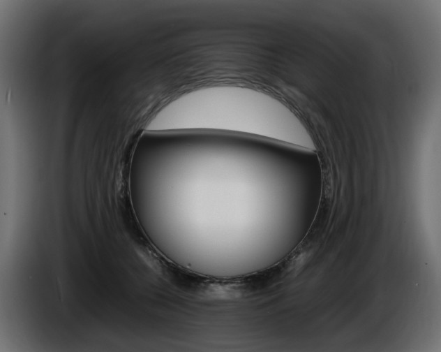 X0000085840560200703231445