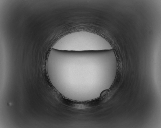 X0000085840561200703231445