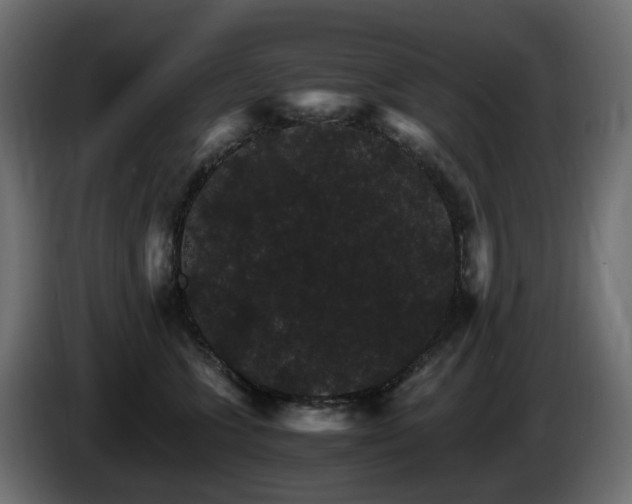 X0000085840563200703231445