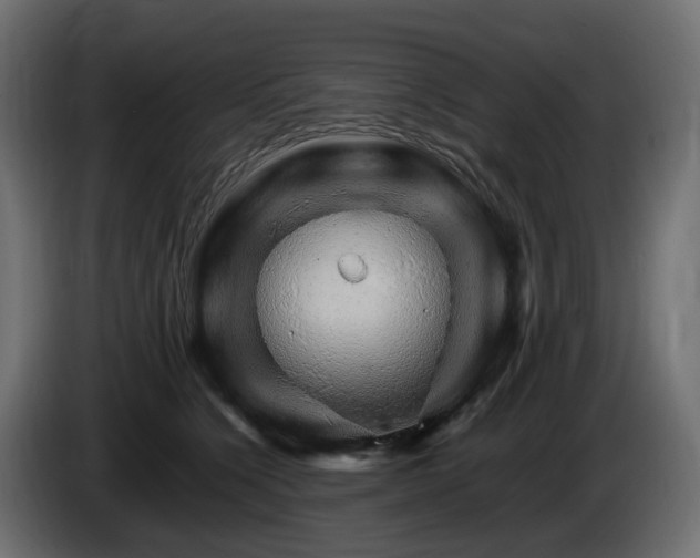 X0000085840564200703231445