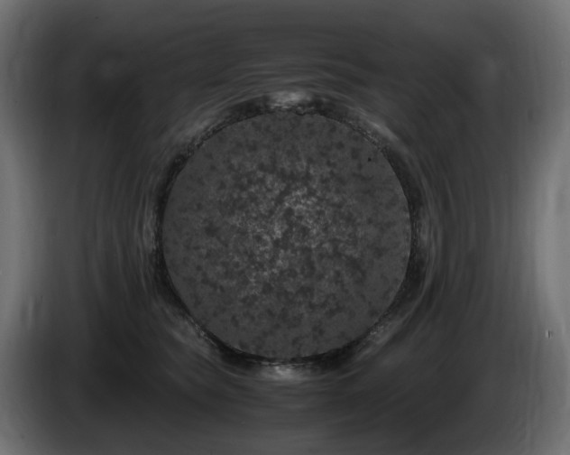 X0000085840565200703231445