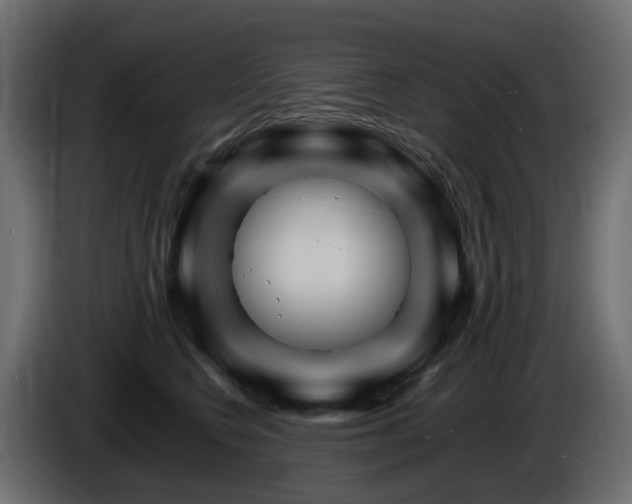 X0000085840566200703231445
