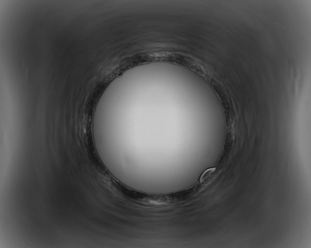 X0000085840567200703231445