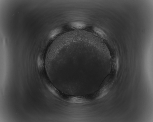 X0000085840568200703231445