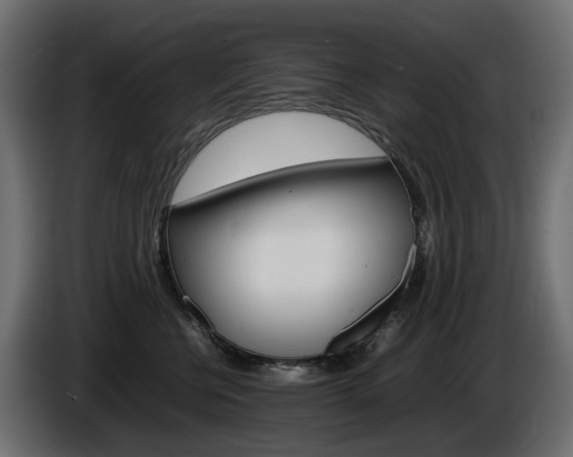 X0000085840570200703231445