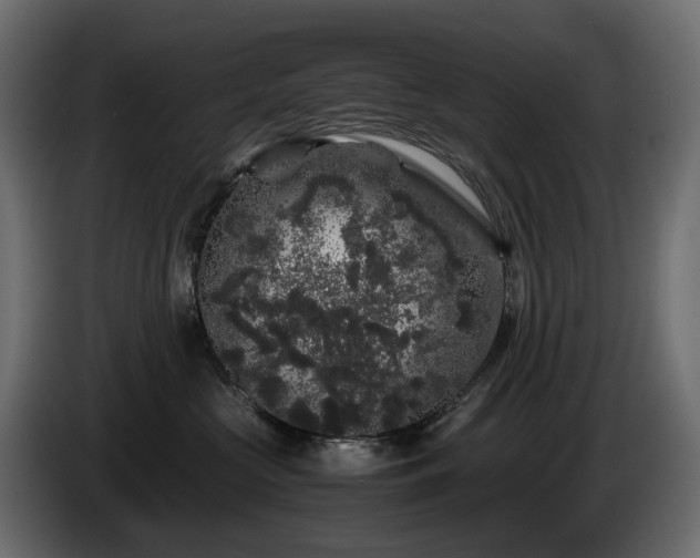 X0000085840573200703231445