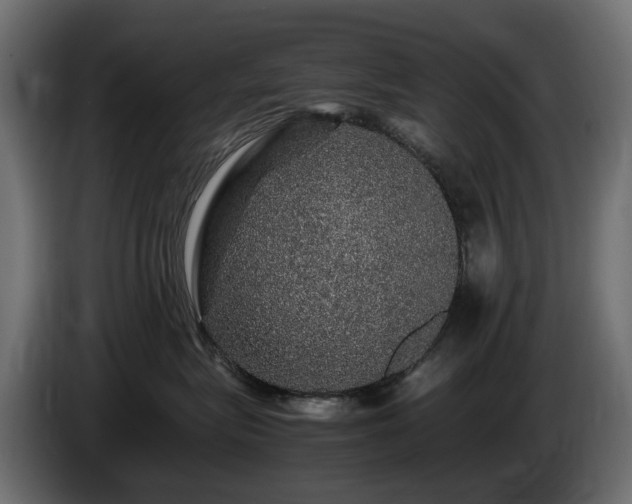 X0000085840575200703231445