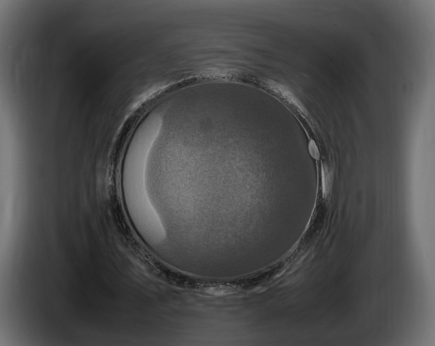X0000085840579200703231444