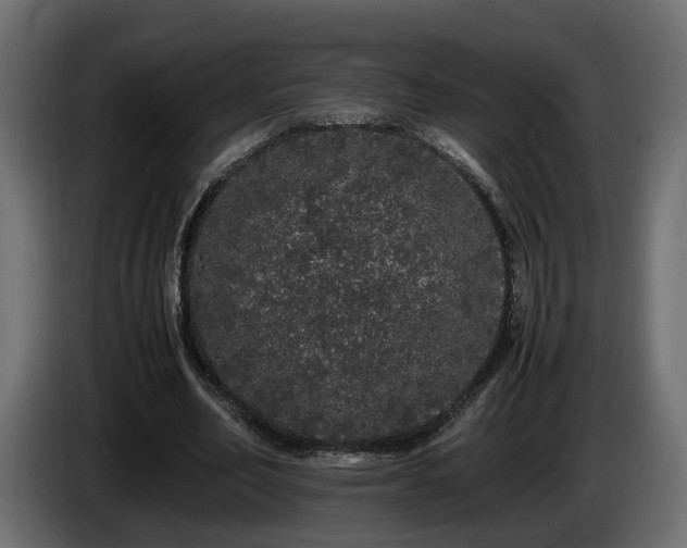 X0000085840582200703231444