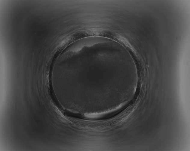 X0000085840585200703231444