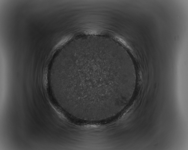 X0000085840586200703231444
