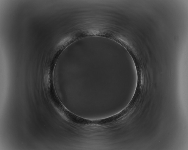 X0000085840590200703231444