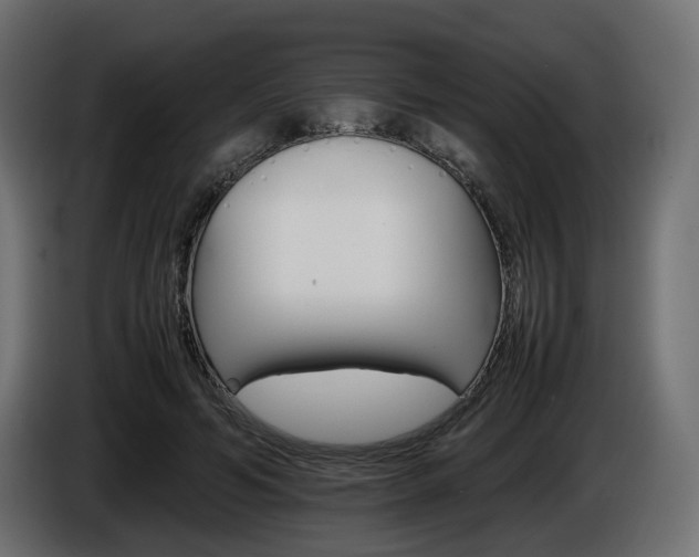 X0000085840594200703231444