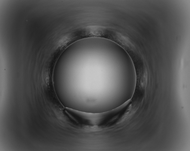 X0000085840595200703231444