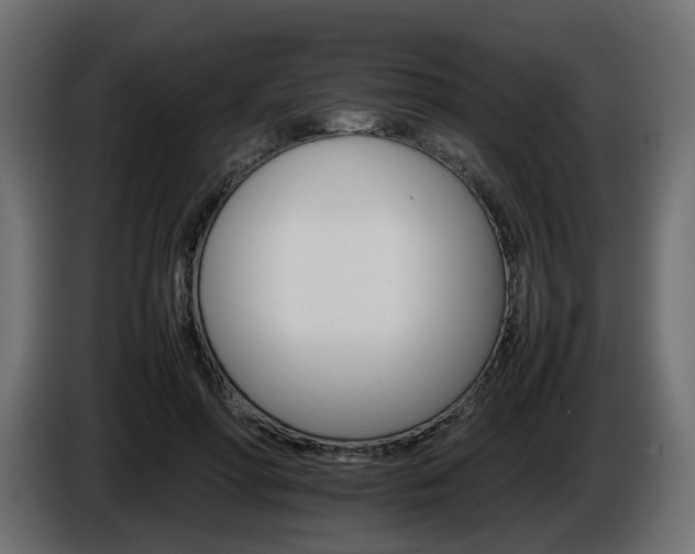 X0000085840598200703231444