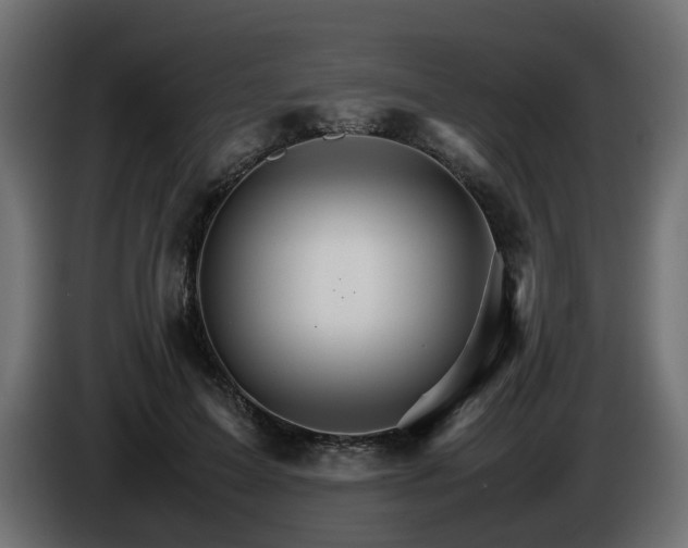 X0000085840599200703231444