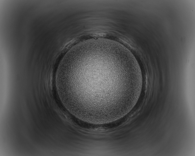 X0000085840600200703231444